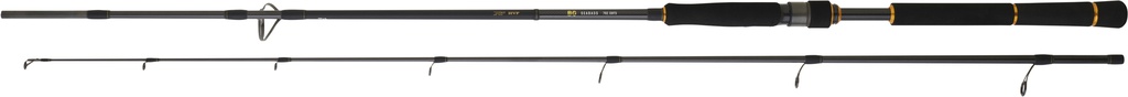 CAÑA DAIWA BG SEABASS 2.50 MTS 10-35